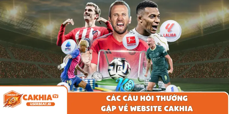 Trang Chủ 17 Các câu hỏi thường gặp về website Cakhia